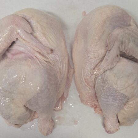 IBCA Competition Box