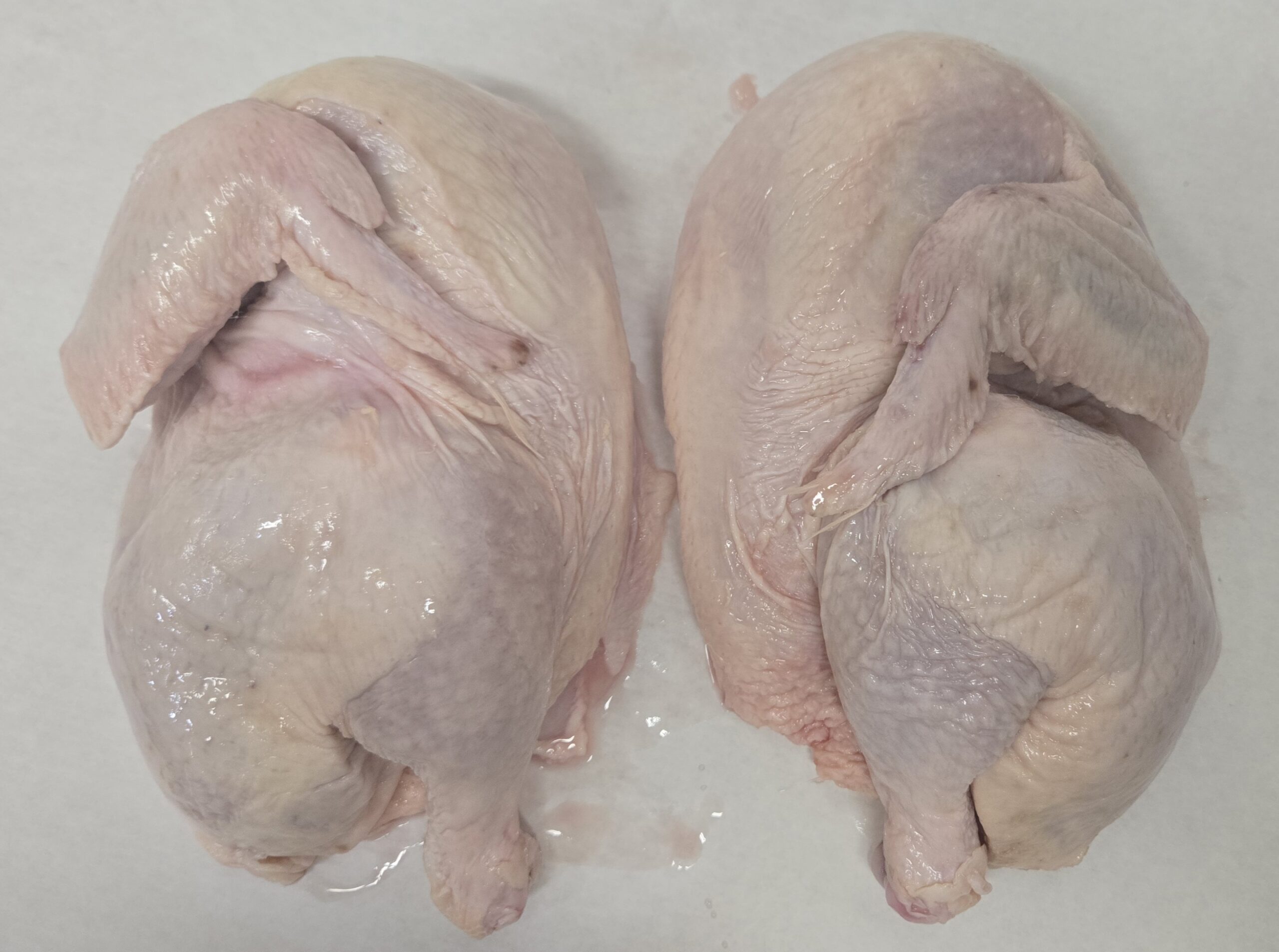 IBCA Competition Box