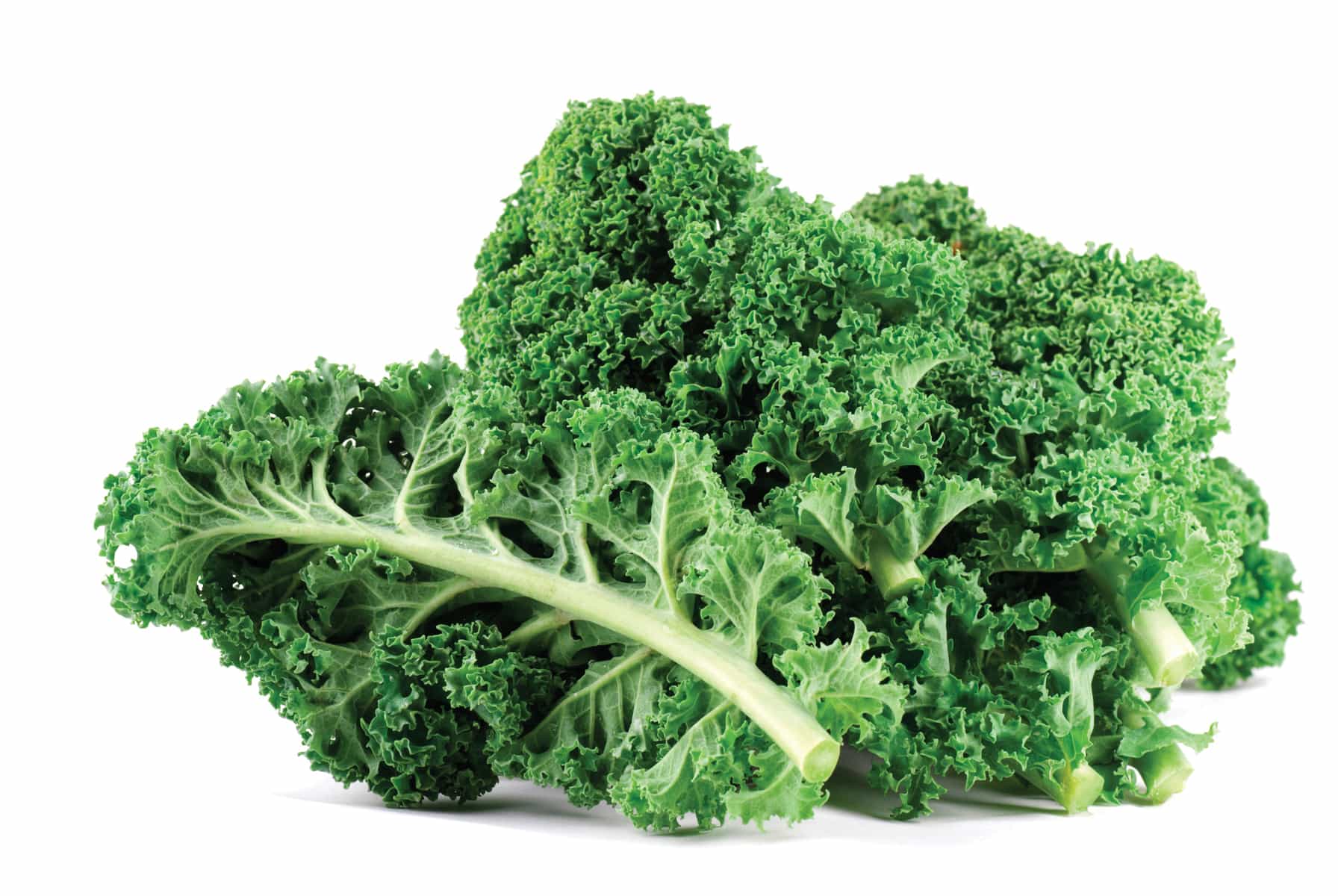 Kale - American Royal Preorder