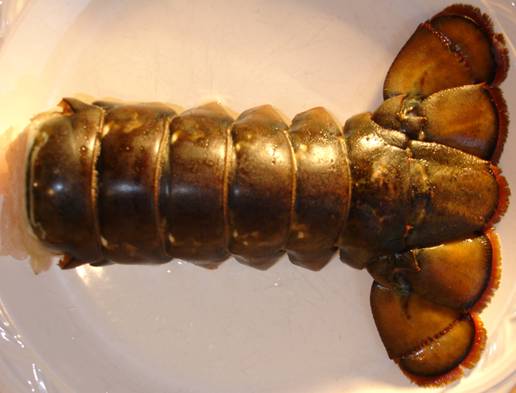 Cold Water Maine Lobster Tails