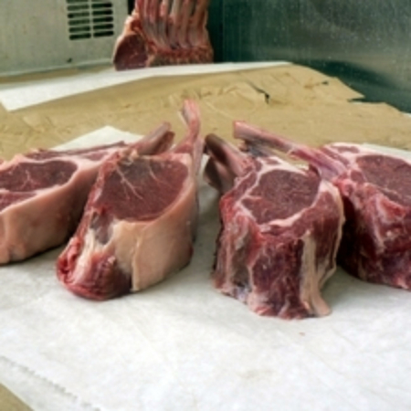 Rib Lamb Chops
